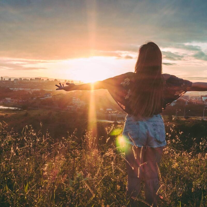 sunset at flower field