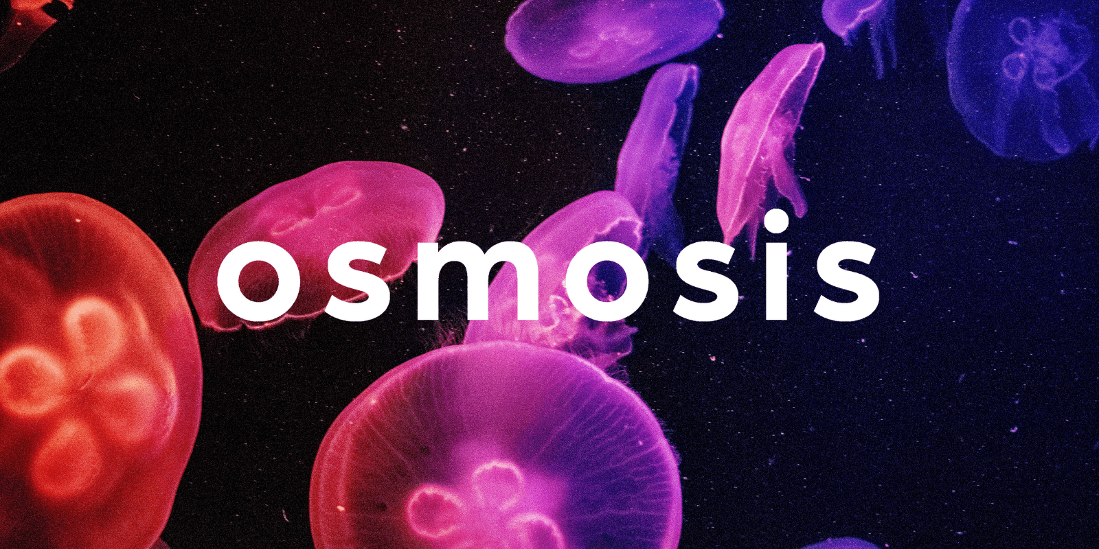 Zoomies osmosis banner