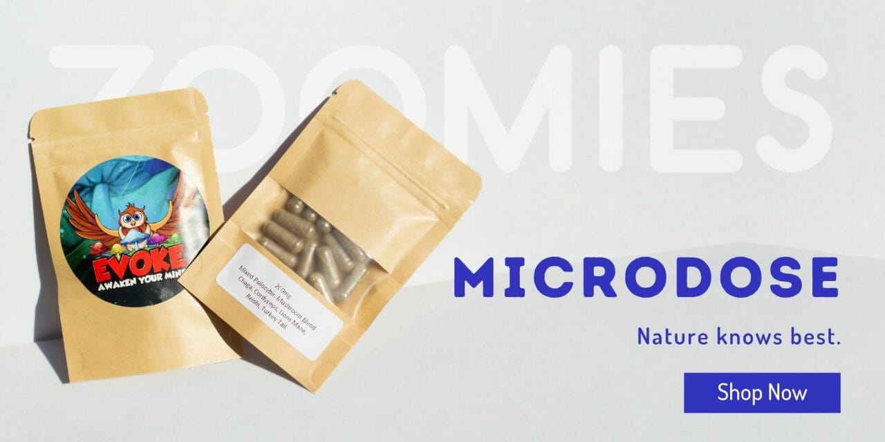 Zoomies Canada - Shrooms Online | Carousel Microdose - Evoke